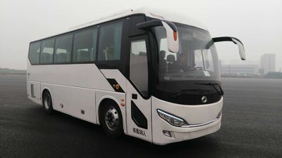 Hongyun  FS6900BEV Pure electric passenger cars