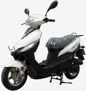 Lifan  LF80T2E Two wheeled motorcycles