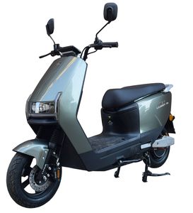 Green Jia  LJ1200DT39 Electric two wheeled motorcycle