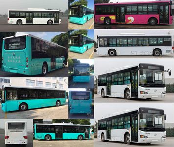 Hagrid KLQ6109GAEVN10 Pure electric city buses