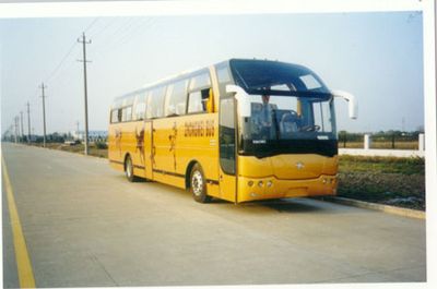 Medium to large  YCK6121HG3 coach