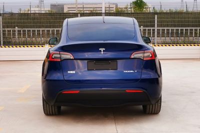 Tesla TSL6480BEVBA0 Pure electric multi-purpose passenger vehicles