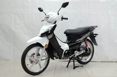 Dayang  DY11012N Two wheeled motorcycles