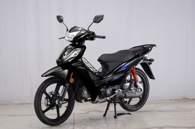 Dayang  DY11012N Two wheeled motorcycles