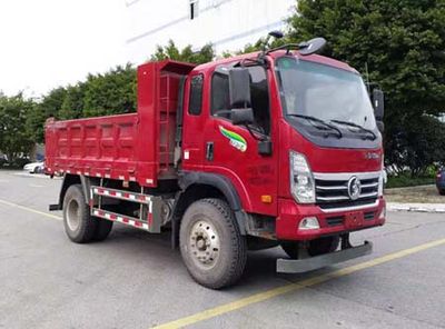 Ace carCDW3101A1Q6Dump truck