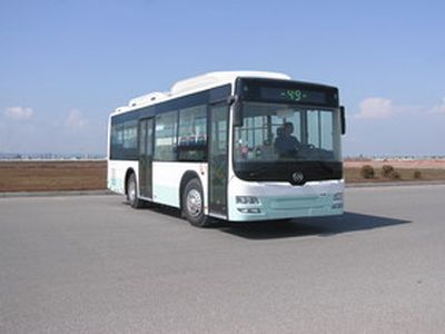 Huanghai  DD6892B01 City buses