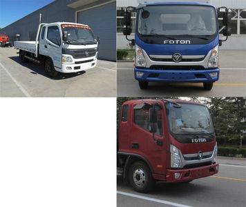 Foton  BJ1049V8PEAFA Truck