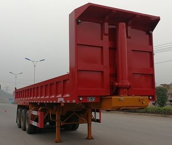 Nanming  LSY9403Z tipping chassis 