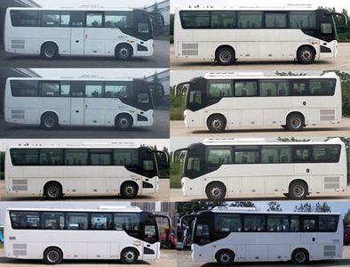 Shenlong brand automobile SLK6873ALD5 coach