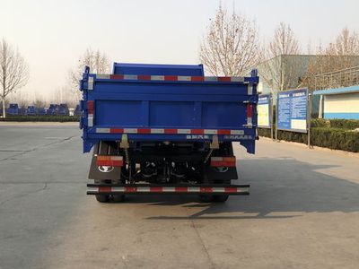 Shifeng  SSF3046DDP43C Dump truck