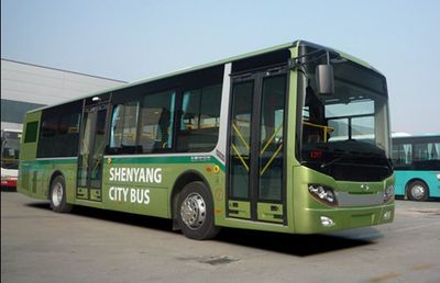 Wuzhoulong FDG6123NG5City buses