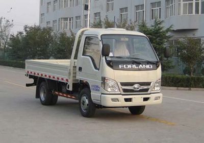 Foton  BJ3042D9JB3FA Dump truck