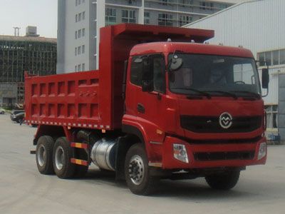 Fujian brand automobilesFJ3251MBADump truck