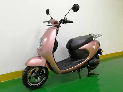 Green Wind  LF600DQT5 Electric two wheeled light motorcycle