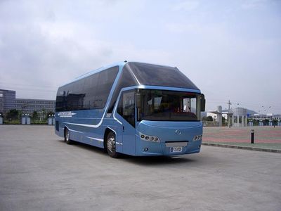 Wuzhoulong  FDG6126W Sleeper coach