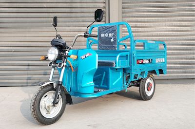 Fupeng  FP1500DZH6 Electric tricycle