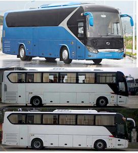 Jinlong  XMQ6125BYD5D coach