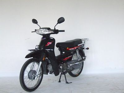 Dayang  DY48Q3A moped with two wheels 