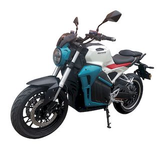 Hariway HLW3000D2 Electric two wheeled motorcycle