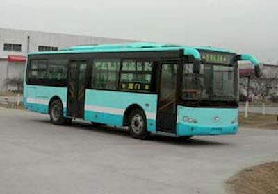 FORTA FZ6890UF5G City buses