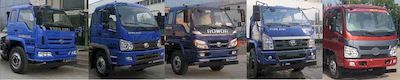 Foton  BJ1165VKPFG1 Truck