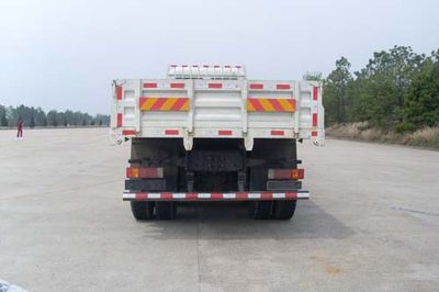 Youth Man  JNP1310FD31 Truck