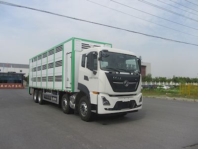 Feiqiu  ZJL5310CCQD6 Livestock and poultry transport vehicles