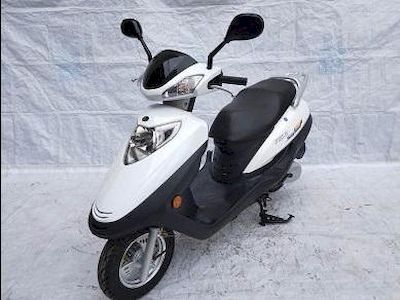 Jingying  JY125T5Y Two wheeled motorcycles