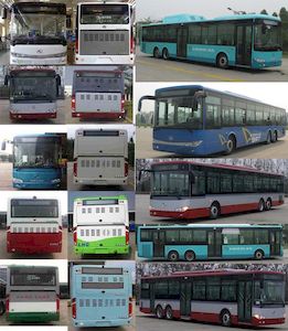 Jinlong  XMQ6141AGN5 City buses