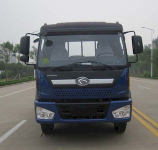 Foton  BJ1253VNPHE1 Truck