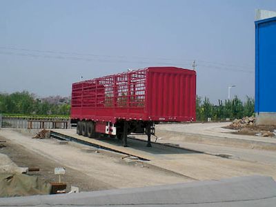 CIMC ZJV9401CLXSD Gantry transport semi-trailer