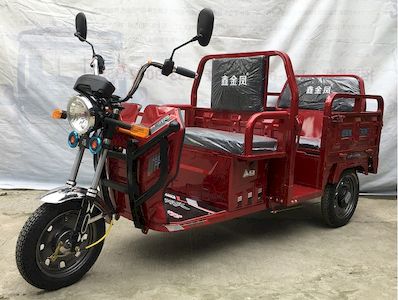 Xinjinfeng  XJF1500DZK Electric tricycle