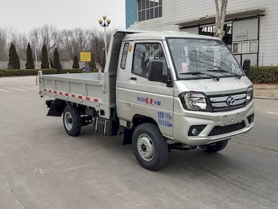 Shifeng SSF3036DCJB2QDump truck