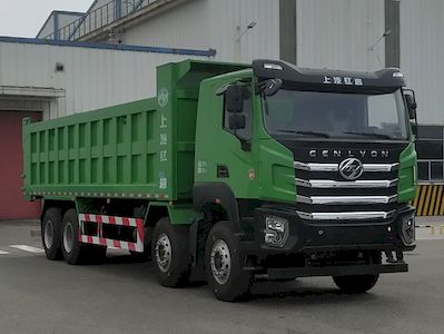 Hongyan  CQ3317SV11466 Dump truck