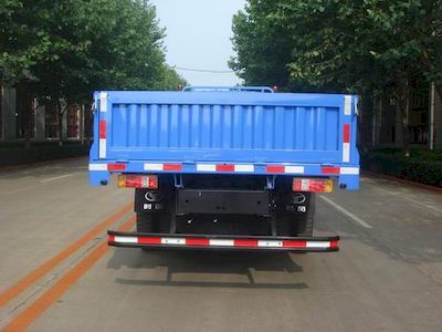 Shifeng  SSF1060HFP65 Truck