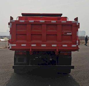 Dayun  DYQ3113D6AC Dump truck