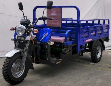 Dayang DY2200DZH3Electric tricycle