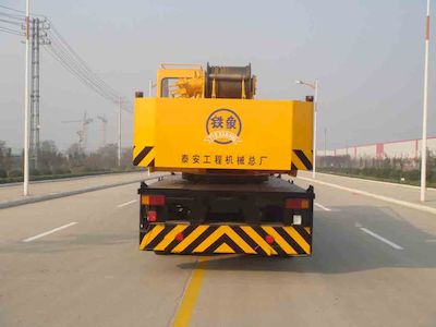 Tiexiang  TGZ5295JQZQY25A1 Car crane