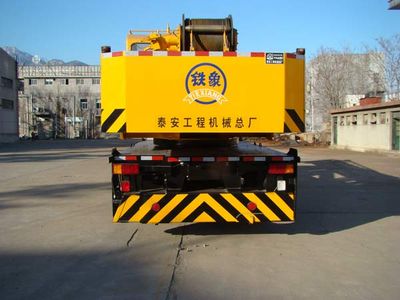 Tiexiang  TGZ5295JQZQY25A1 Car crane