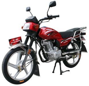 Honghonglie  HL1253V Two wheeled motorcycles