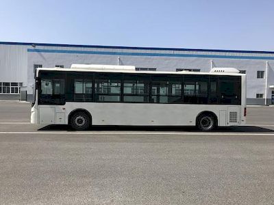 Huanghai  DD6109EV10P Pure electric city buses