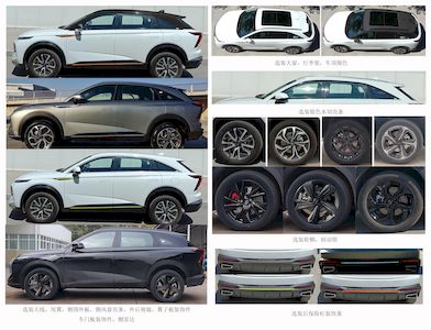 Haval CC6480AL02HPHEV Plug in hybrid multi-purpose passenger vehicles