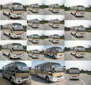 Hagrid KLQ6702Q40 coach