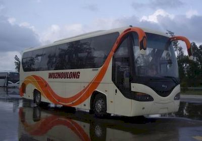 Wuzhoulong  FDG6125C3 coach