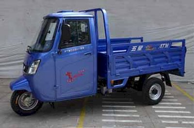 Foton Five Star WX200ZH16E right three-wheeled motorcycle 