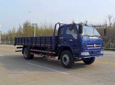 Foton  BJ1163VKPFG4 Truck