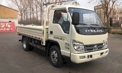 Foton  BJ3046D9JBAAC Dump truck