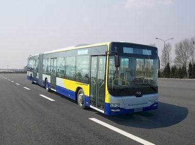 Huanghai  DD6183S01 City buses