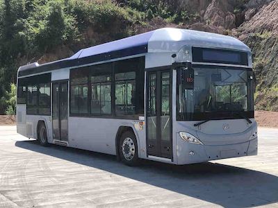 Feichi  FSQ6121FCEVG3 Fuel cell city buses