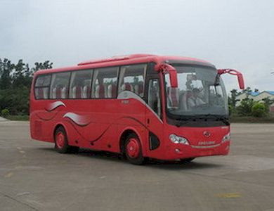 Jinlong XMQ6900Y3coach